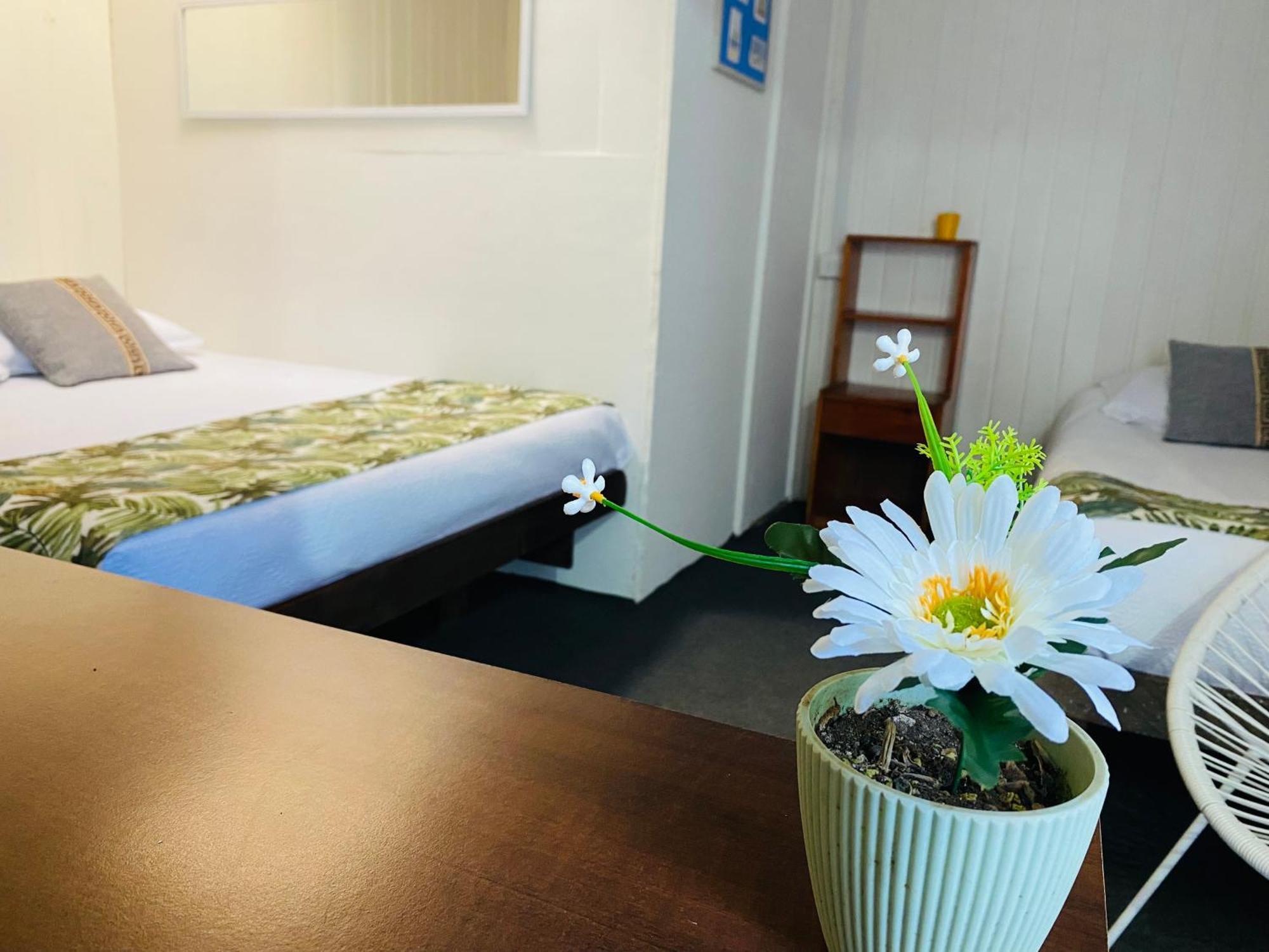 Hostal 3 Norte 圣安东尼奥 外观 照片