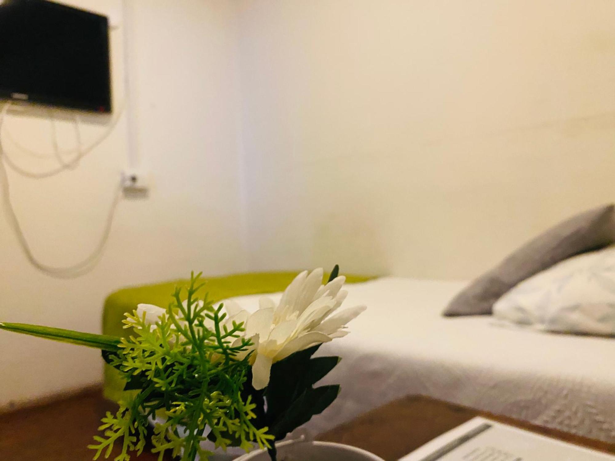 Hostal 3 Norte 圣安东尼奥 外观 照片